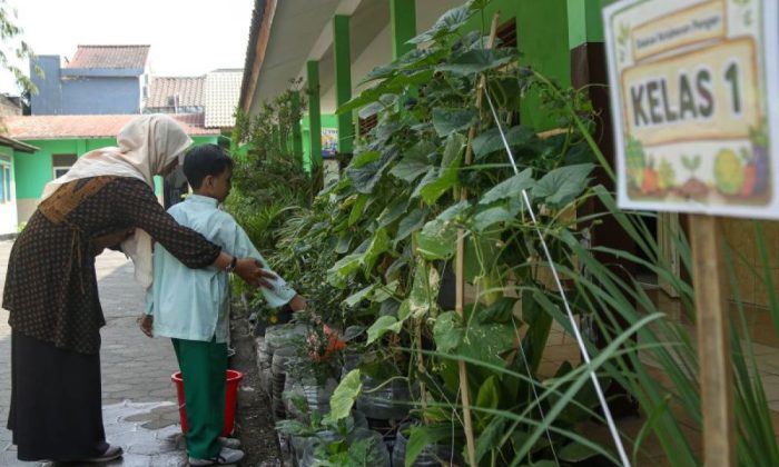 Edukasi ketahanan pangan mandiri