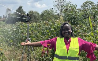 Renewables, Farmer Aggregation Offer Solutions to Africa’s Post-Harvest Losses