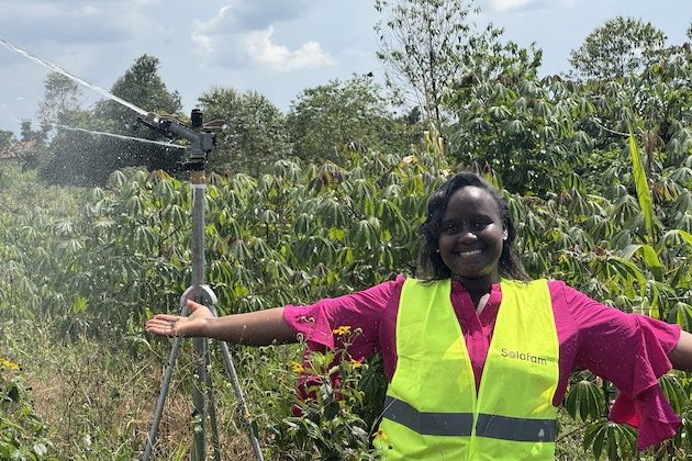 Renewables, Farmer Aggregation Offer Solutions to Africa’s Post-Harvest Losses