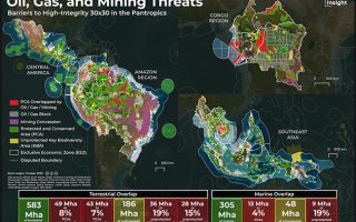 Protection That Holds: Keeping Nature Safe From Extraction
